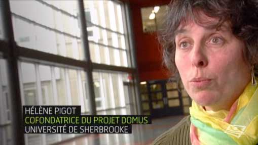 Domus.jpg